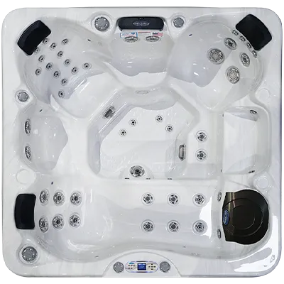 Avalon EC-849L hot tubs for sale in Tamarac