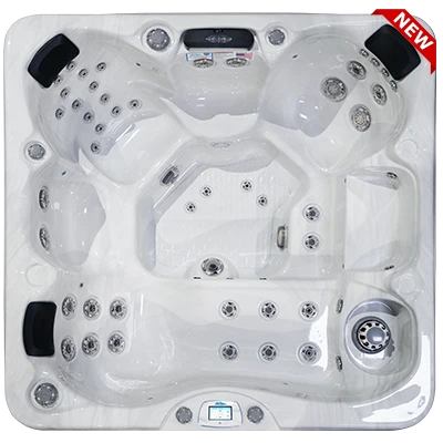 Avalon-X EC-849LX hot tubs for sale in Tamarac