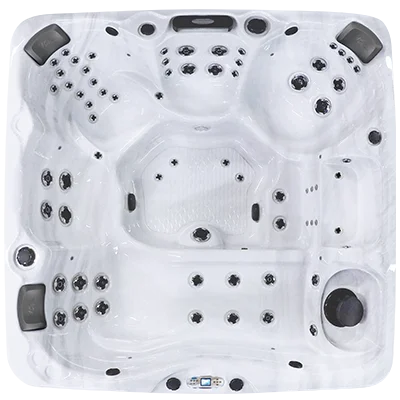 Avalon EC-867L hot tubs for sale in Tamarac